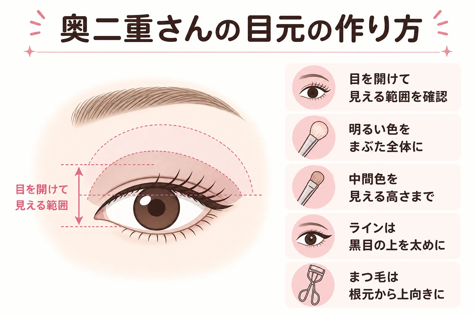 奥二重や一重の目元でアイシャドウとアイラインを入れる位置を示した図解